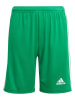 adidas Trainingsshort "Squadra 21" groen