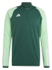 adidas Trainingslongsleeve "Tiro 23 Competition" groen