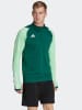 adidas Trainingslongsleeve "Tiro 23 Competition" groen