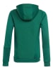 adidas Trainingshoodie "Tiro 23 Competition" groen