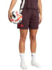 adidas Trainingsshorts "Bayern Munich Tiro" in Rot