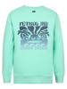 Petrol Industries Sweatshirt in Grün
