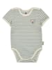 Steiff Body in Beige/ Hellblau