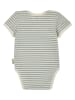 Steiff Body in Beige/ Hellblau