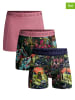 Muchachomalo 3-delige set: boxershorts meerkleurig/lichtroze