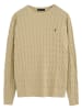 Polo Club Pullover in Beige