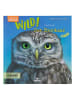 moses. Sachbuch "Expedition Natur: WILD! Der Steinkauz"