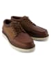 TOMS Sneakers in Braun