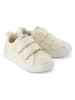 TOMS Sneakers in Creme