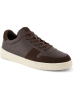 TOMS Sneakers bruin