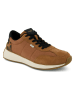 TOMS Sneakers in Hellbraun