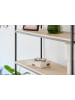 STORE IT Brillenbox in Beige - (B)24 x (H)6 x (T)16 cm 