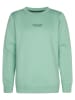 Petrol Industries Sweatshirt in Grün
