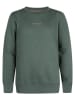 Petrol Industries Sweatshirt groen