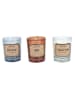 The Concept Factory 6er-Set: Duftkerzen in Bunt - 6x 30 g