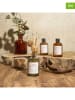 Ethnical Life 3-delige set: kamergeuren "Softness" - 3x 50 ml (verrassingsproduct)
