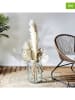 Ethnical Life 2er-Set: Kunstpflanzen in Creme - (H)120 cm