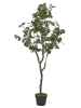 Ethnical Life Kunstplant groen - (H)130 x Ø 40 cm