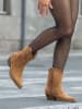 Bellucci Stiefeletten in Hellbraun