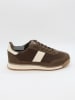 Bellucci Sneakers bruin