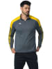 erima Trainingslongsleeve "Evo Star" in Grau