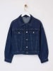 trendyol Spijkerjas blauw