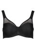 nuance Minimizer-BH in Schwarz