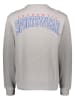 Reebok Sweatshirt ''CL SG Crew'' in Grau