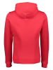 Reebok Hoodie ''RI'' in Rot