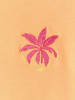 4F Shirt in Orange