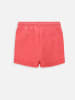 Coccodrillo Sweatshorts in Rot