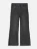 Coccodrillo Jeans - Regular fit - in Anthrazit