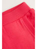 Coccodrillo Sweathose in Pink