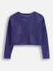 Coccodrillo Pullover in Dunkelblau