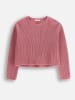 Coccodrillo Pullover in Rosa