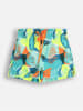 Lemon explore Badeshorts in Bunt
