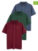 Polo Club 3er-Set: Poloshirts in Blaugrau/ Grün/ Bordeaux