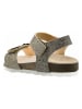 lamino Sandalen in Khaki