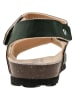 lamino Sandalen groen