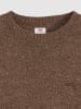 Levis Pullover in Hellbraun