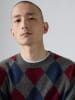 Levis Pullover in Grau/ Blau/ Rot