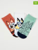 Bluey 3er-Set: Socken "Bluey" in Hellbraun/ Weiß/ Türkis