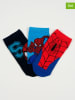 Spiderman Skarpety (3 pary) "Spider-Man" w kolorze czarno-niebiesko-czerwonym