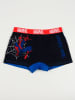 Spiderman 2er-Set: Boxershorts "Spiderman" in Schwarz/ Blau/ Rot