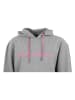 Peak Mountain Hoodie "Alauren" grijs