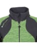 Peak Mountain Fleece vest "Cecut" groen