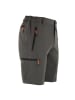 Peak Mountain Funktionsshorts "Cessor" in Grau