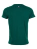 Peak Mountain Shirt groen