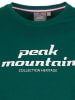 Peak Mountain Koszulka w kolorze zielonym