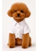 Paws&Whiskers Hondenshirt wit